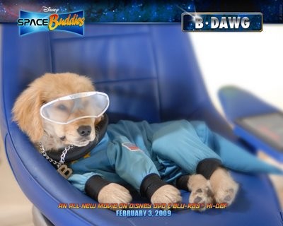 B-Dawg es el que mas quiere que mole de sus hermanos,le encanta el baloncesto y ser el primero en todo. B-Dawg es el que mas quiere que mole de sus hermanos,le encanta el baloncesto y ser el primero en todo.